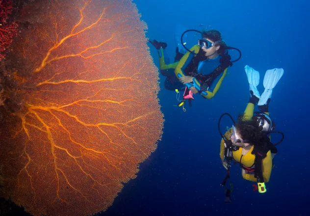 Safety guidelines and precautions for liveaboard diving in Raja Ampat